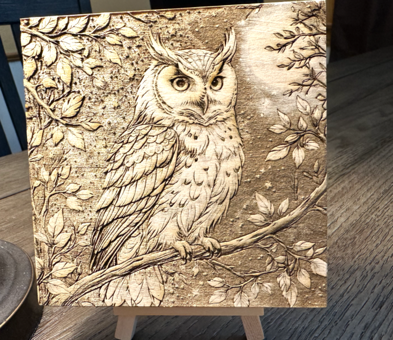 Engraved 3D Owl on 15'' x 15' Pine Plywood - Newfie Laser Productions